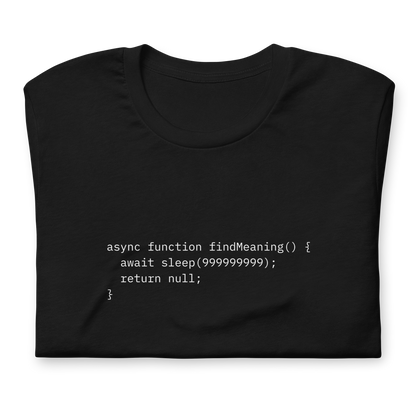 async function findMeaning() { await sleep(999999999); return null; }